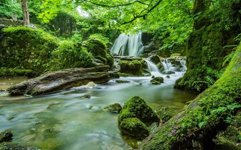 高端智慧全自动